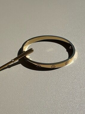 Bracelet (Jewelry) identified as Accessory